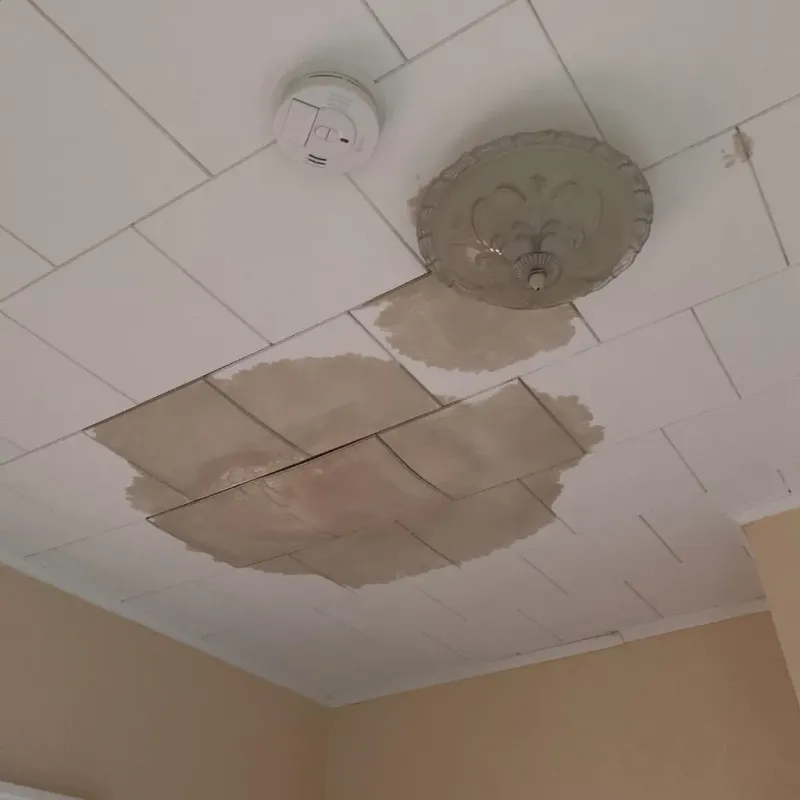 Ceiling Water Damage Repair in Independence, OH