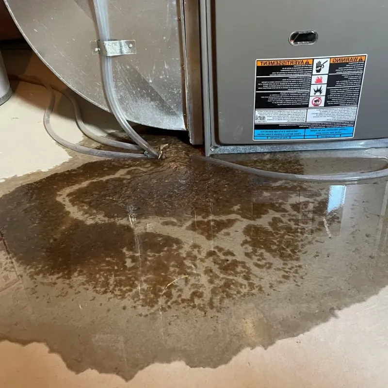 Pipe Burst and Leak Restoration in Independence, OH