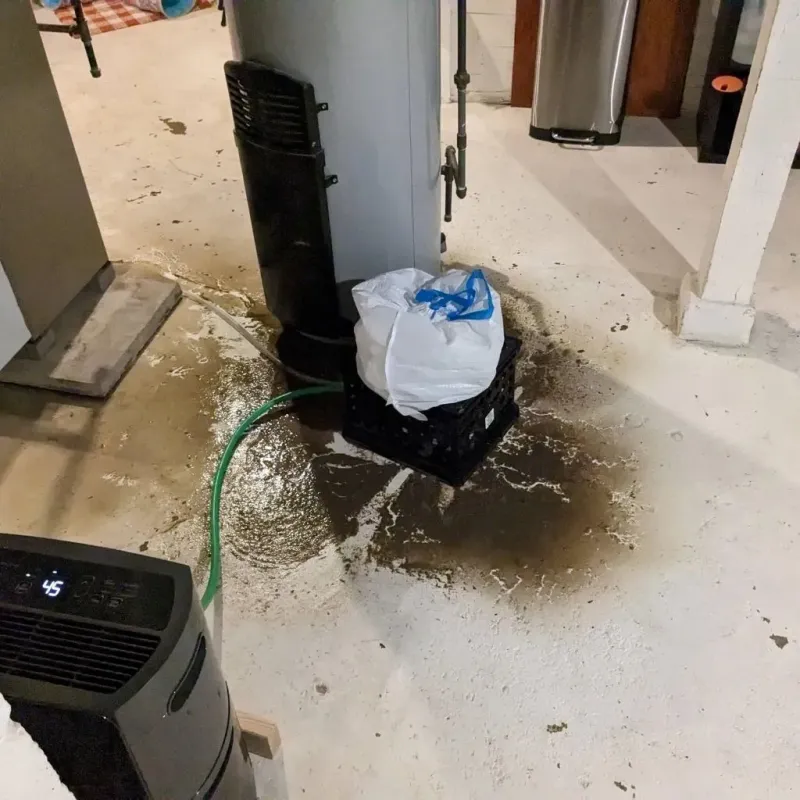 Sewage Backup Cleanup Service in Independence, OH